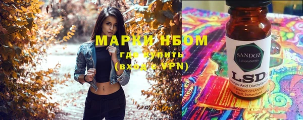 прущие грибы Шали