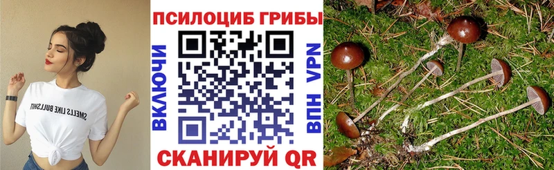 Галлюциногенные грибы прущие грибы  Купить где  Удачный 