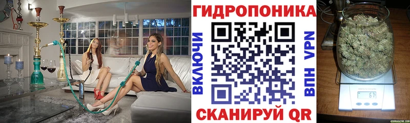 Купить  Удачный  Бошки Шишки OG Kush 